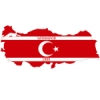 Logo Vatanspor