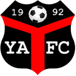 Logo Ynyshir Albions